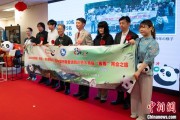 梦见救鸡中国彩绘熊猫艺术国际巡展东京站开幕