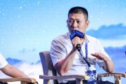 梦见救鸡蜂巢汽车武红超预测：未来五年中国新能源车渗透率将突破70%