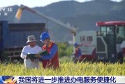 梦见救鸡免报装、快用电 我国将进一步推进办电服务便捷化